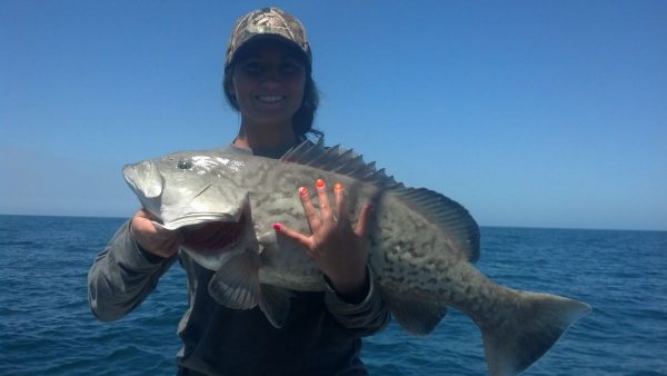 charter gag grouper