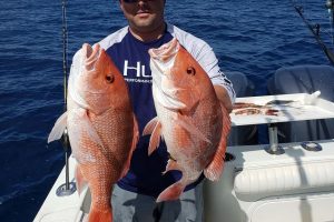 salts red snapper